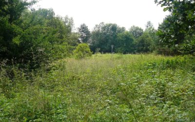 Der Anger mit dem mystischen Namen Himmelbüsch