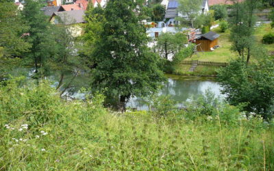 Der Kühanger Velden am Schiessmauerhang