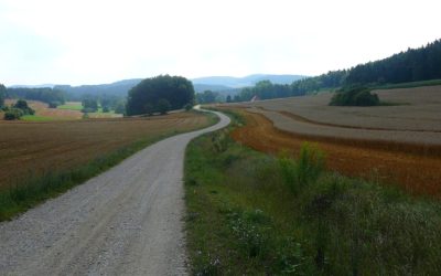 Der geschrumpfte Gotzenberger Anger