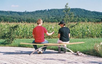 Tropenholz für Parkbänke in Nürnberg – Initiativkreis Holz aus der Frankenalb bezieht Stellung in der Sitzung des Umweltausschusses