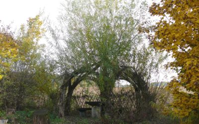 Pavillon im Möbelmacher-Garten