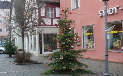 Die vorweihnachtliche Welt der Tannenbäume