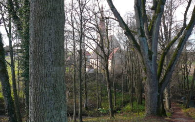 Der Dorn-Espan (Hutanger) bei Beerbach, Ortsteil von Lauf a.d.Pegnitz