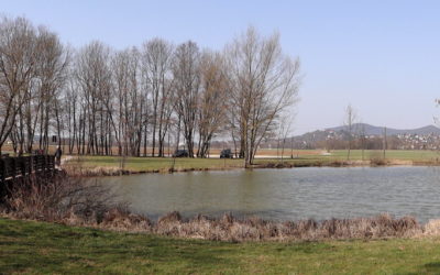 Sonntagfrüh am Happurger Baggersee