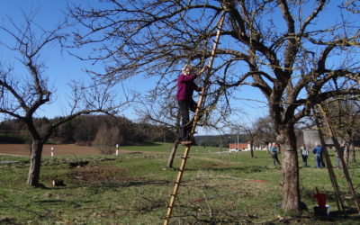 Von alten Obstbäumen, Flechten, dem Erlöser, der Tiroler Steigtanne und aufleiten ist hier die Rede