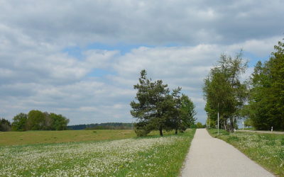 Das Wesentliche im Mittelpunkt: Jahrestagung 2012 der Morbus-Osler-Selbsthilfe zum zweiten Mal in Bayern!