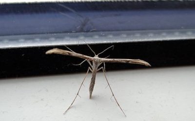 Heute auf unserem Fensterrahmen